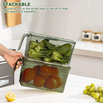 2Pack Stackable Food Storage Produce Saver Containers for Refrigerator, Berry Keeper Boxes for Fridge with Removable Drain Tray Keep Fresh for Vegetables/Fruit/Meat/Salad- 10.23'' x5.4'' x5.2''